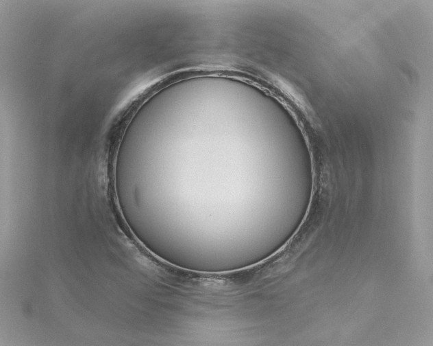 X0000115361456200911171343