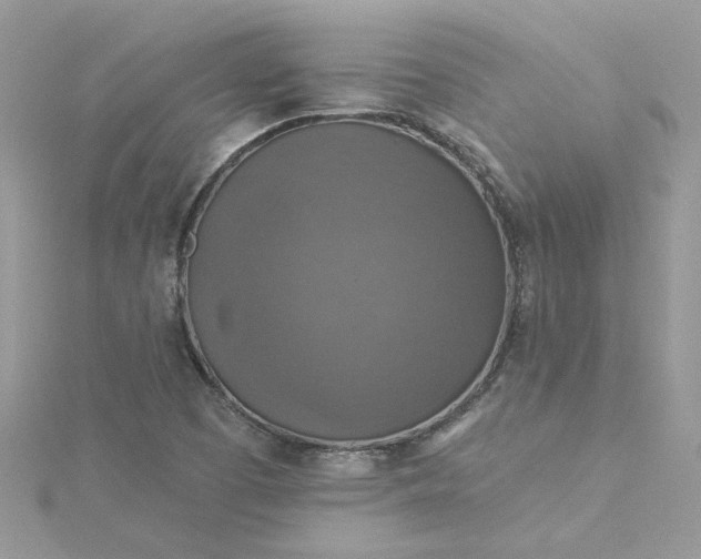 X0000115361457200911171343