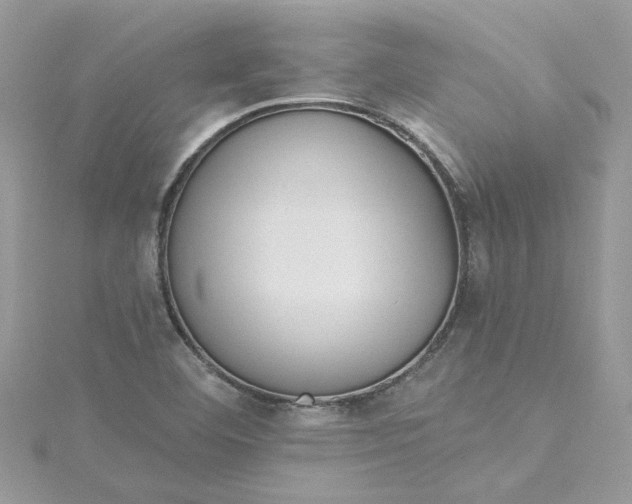 X0000115361460200911171343