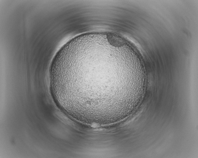 X0000115361467200911171343