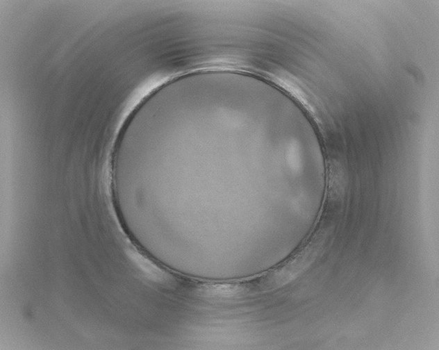 X0000115361474200911171342