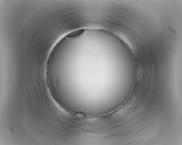 X0000115361484200911171342