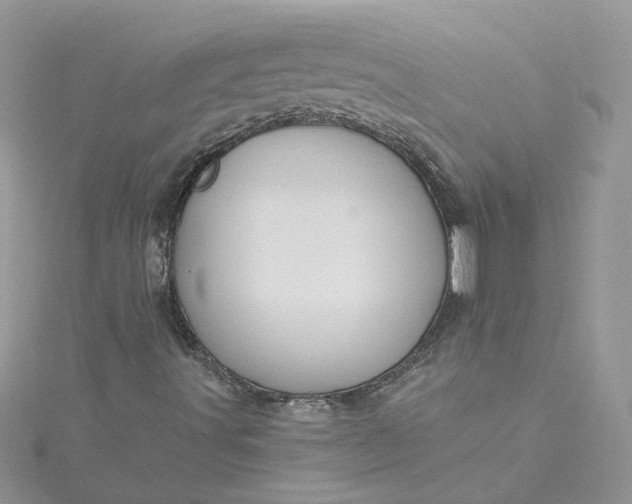 X0000115361491200911171342