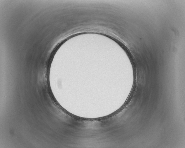 X0000115361498200911171342