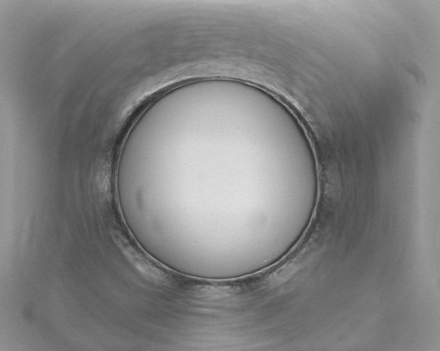 X0000115361499200911171342