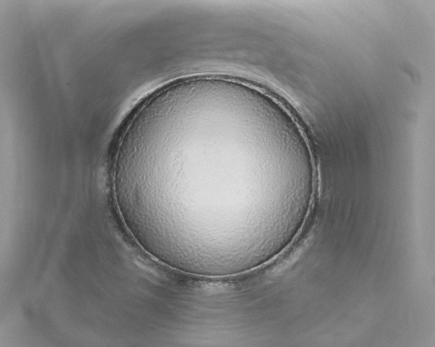 X0000115361501200911171342