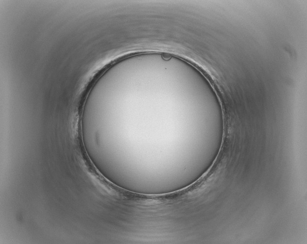 X0000115361507200911171342