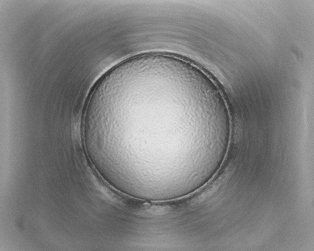 X0000115361513200911171342