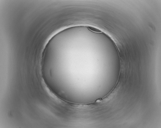X0000115361534200911171342
