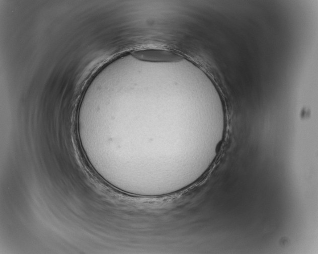 X0000115360001200911241228