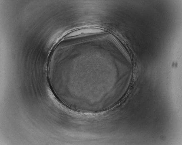 X0000115360002200911241228
