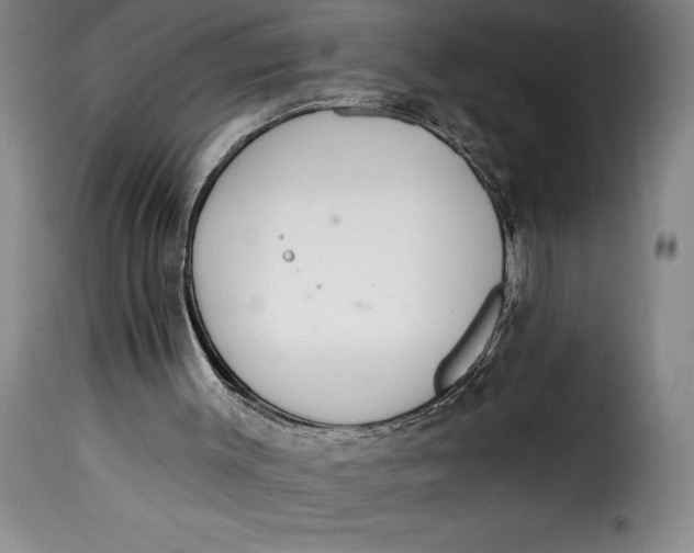 X0000115360003200911241228