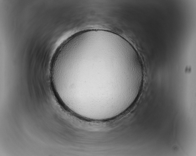 X0000115360008200911241227