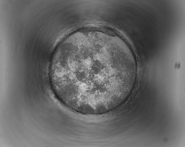 X0000115360010200911241227