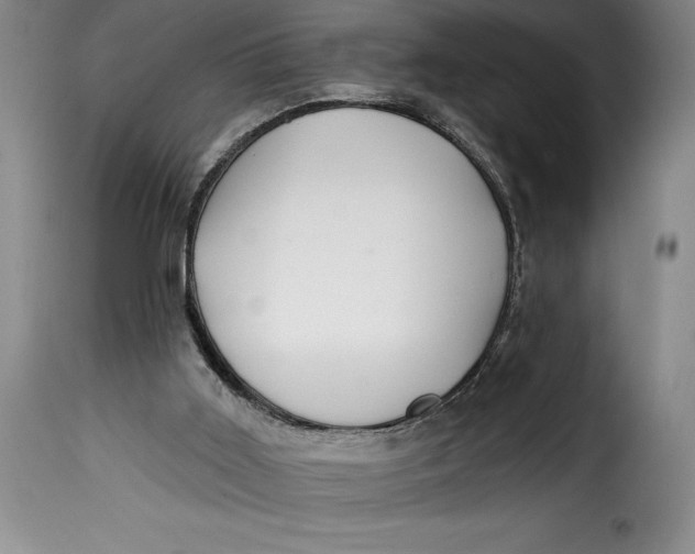 X0000115360011200911241227