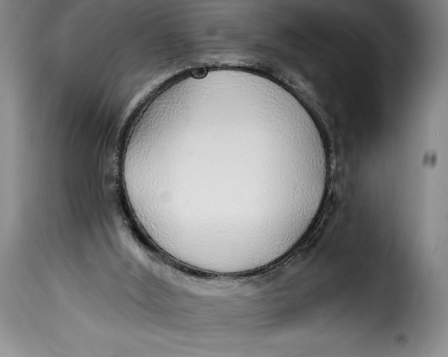 X0000115360012200911241227