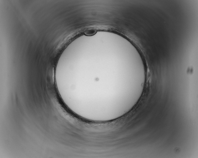 X0000115360013200911241227