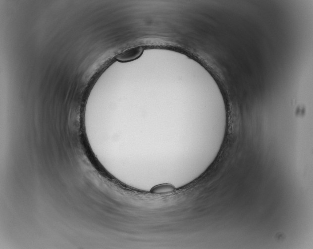 X0000115360015200911241227