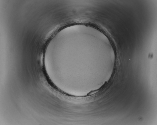 X0000115360019200911241227