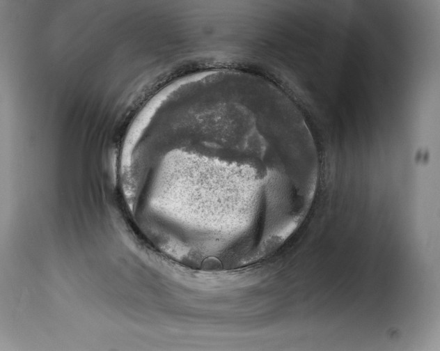 X0000115360022200911241227