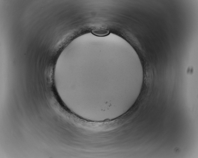 X0000115360023200911241227