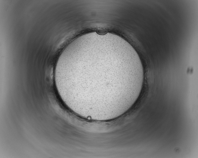 X0000115360024200911241227