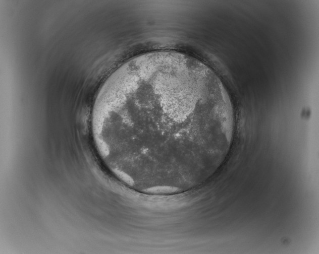 X0000115360026200911241227