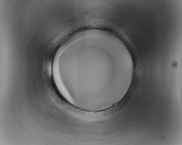X0000115360027200911241227