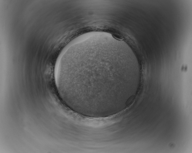 X0000115360029200911241227