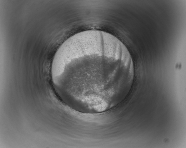 X0000115360030200911241227