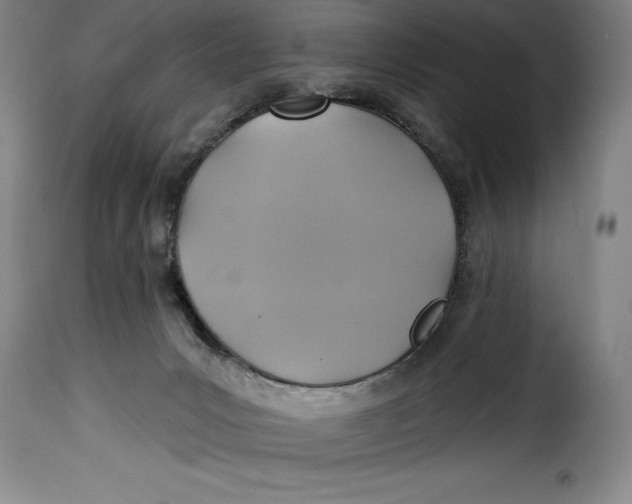 X0000115360031200911241227