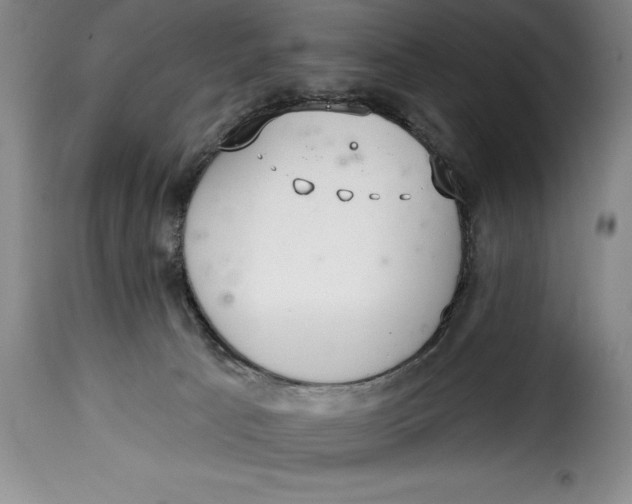 X0000115360033200911241227