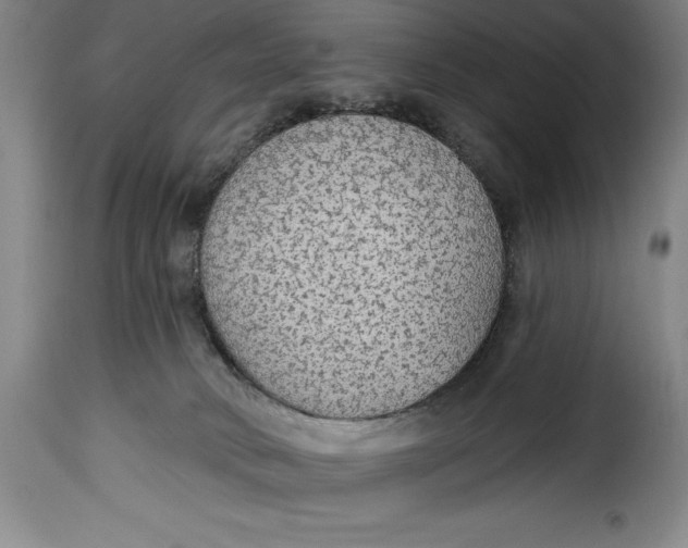 X0000115360034200911241227