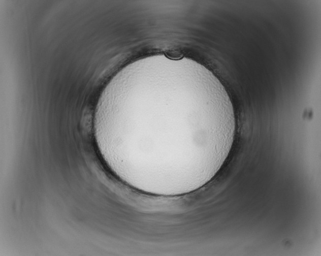 X0000115360036200911241227