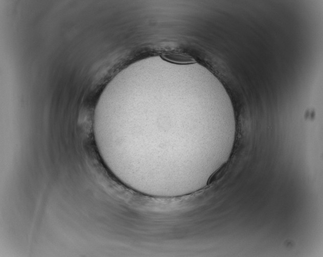 X0000115360037200911241227