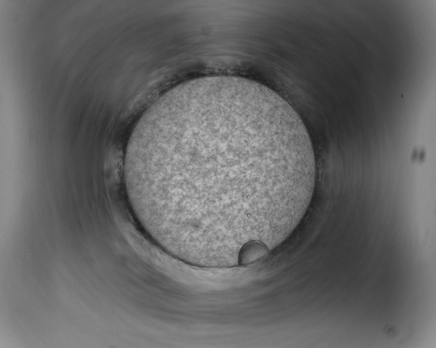 X0000115360038200911241227