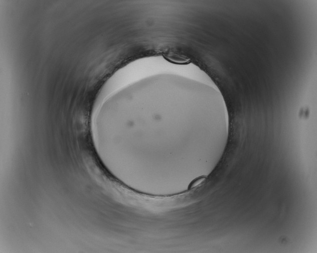 X0000115360039200911241227