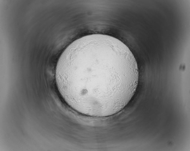 X0000115360040200911241227