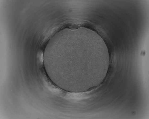X0000115360041200911241227
