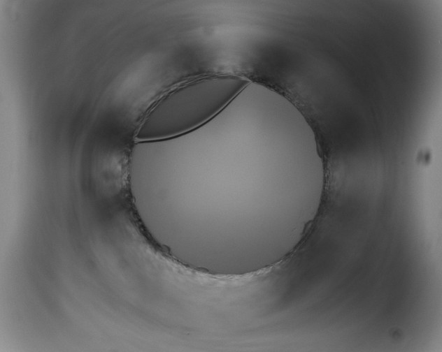 X0000115360043200911241227