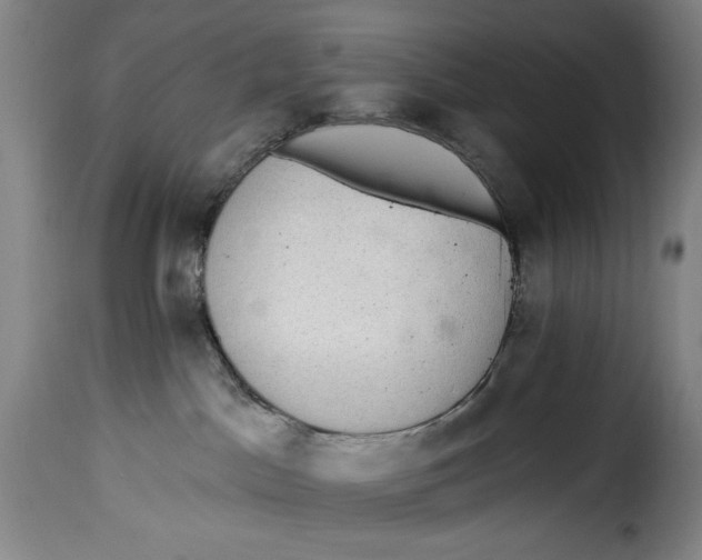 X0000115360045200911241227