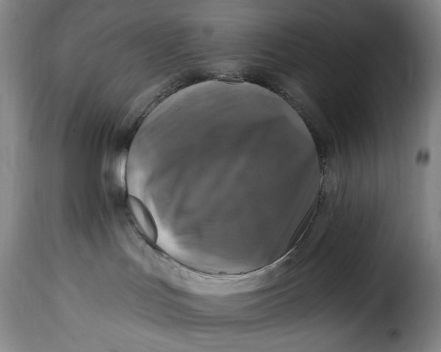 X0000115360047200911241227