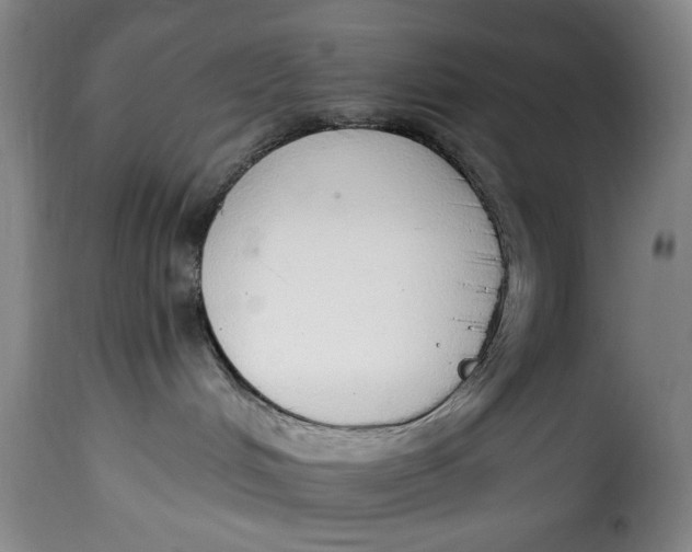 X0000115360048200911241227