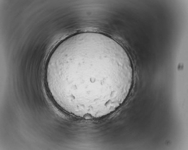 X0000115360049200911241226