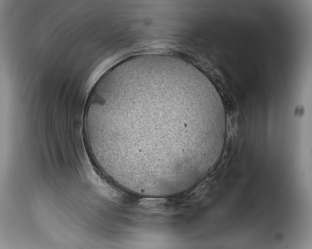 X0000115360051200911241226