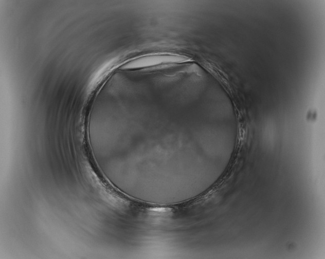 X0000115360053200911241226