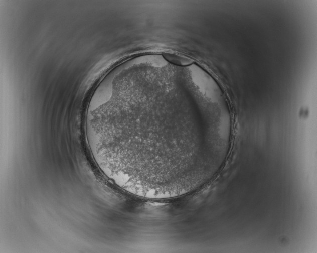X0000115360055200911241226