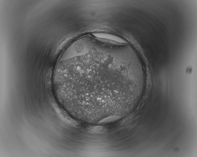 X0000115360058200911241226