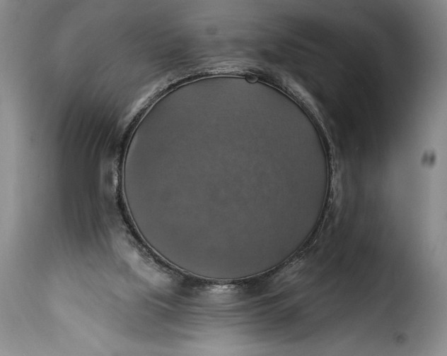 X0000115360059200911241226