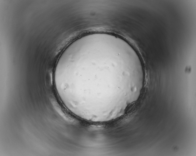 X0000115360061200911241226